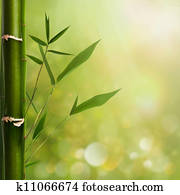 Natural zen backgrounds with bamboo leaves