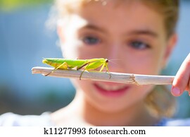 naturalista, biólogo, criança, menina, olhar, mantis praying