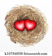 Nicely Built Bird Nest with Two Red