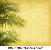 old paper background with palm leaf