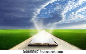 Open bible in field. Open bible in field.