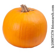 orange pumpkin isolated orange pumpkin isolated