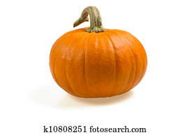 orange pumpkin orange pumpkin