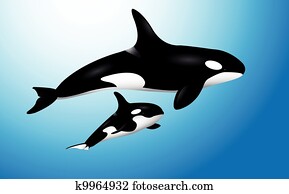 orca, baleia, com, bebê