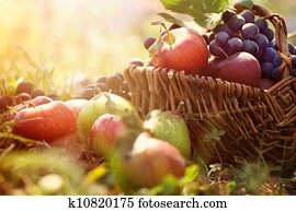 Organic fruit in summer grass Organic fruit in summer grass