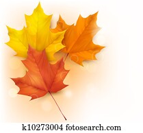 outono, fundo, com, folhas