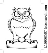 owl owl