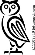 owl owl