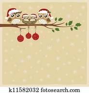 owl family christmas celebration