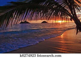 Pacific sunrise at Lanikai beach, Hawaii Pacific sunrise at Lanikai beach, Hawaii