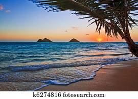 Pacific sunrise at Lanikai beach, Hawaii Pacific sunrise at Lanikai beach, Hawaii