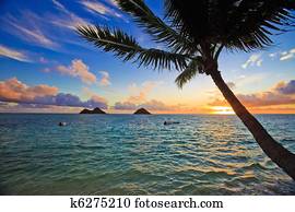 pacific sunrise at lanikai, hawaii pacific sunrise at lanikai, hawaii