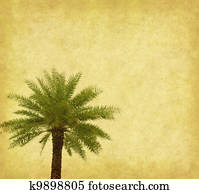 palm, med, gammal, papper