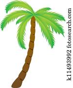 Palm tree Palm tree