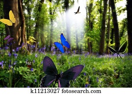 paraisos, em, natureza