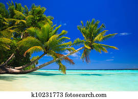 paraíso tropical, em, maldives