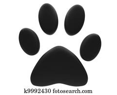 Paw Prints Paw Prints