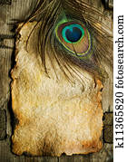 Peacock Feather over Old Paper sheet
