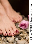 Pedicure Pedicure