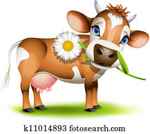 pequeno, vaca jersey, comer, margarida