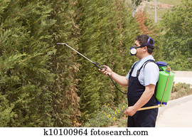 pest control pest control