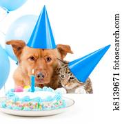 Pet birthday party Pet birthday party