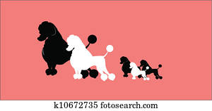 poodle family 