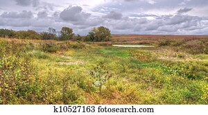 Prairie landscape Prairie landscape