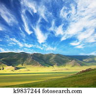 Prairie Prairie