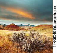 Prairie Prairie
