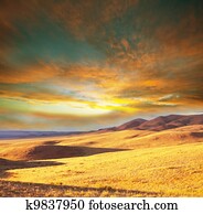 Prairie Prairie