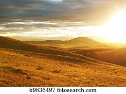 Prairie Prairie