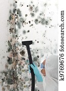Professional cleaning mould off a wall Professional cleaning mould off a wall