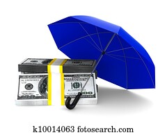 Protection of money. Isolated 3D image on white background