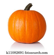 Pumpkin on white Pumpkin on white