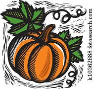 pumpkin pumpkin