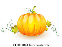 pumpkin pumpkin