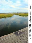 pântano, paisagem, 2