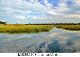 pântano, paisagem, 4