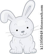 Rabbit Front View Rabbit Front View