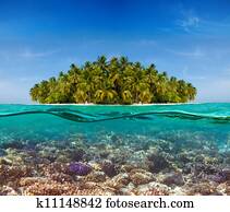 recife coral, e, a, ilha