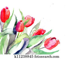 Red Tulips flowers Red Tulips flowers