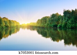 River and spring forest. River and spring forest.