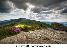 Roan Mountain Appalachian Trail Blue Ridge Mountains Landscape along NC and TN border in Western North Carolina