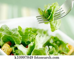 salad salad