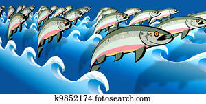 Salmon Jumping Salmon Jumping