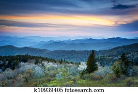 Scenic Blue Ridge Parkway Appalachians Smoky Mountains Spring Landscape with May blossoms