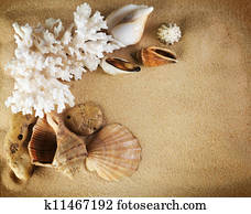 Sea Shells Frame 