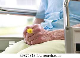 Senior Woman Sitting in Wheelchair