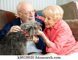 seniors, a casa, con, loro, cane